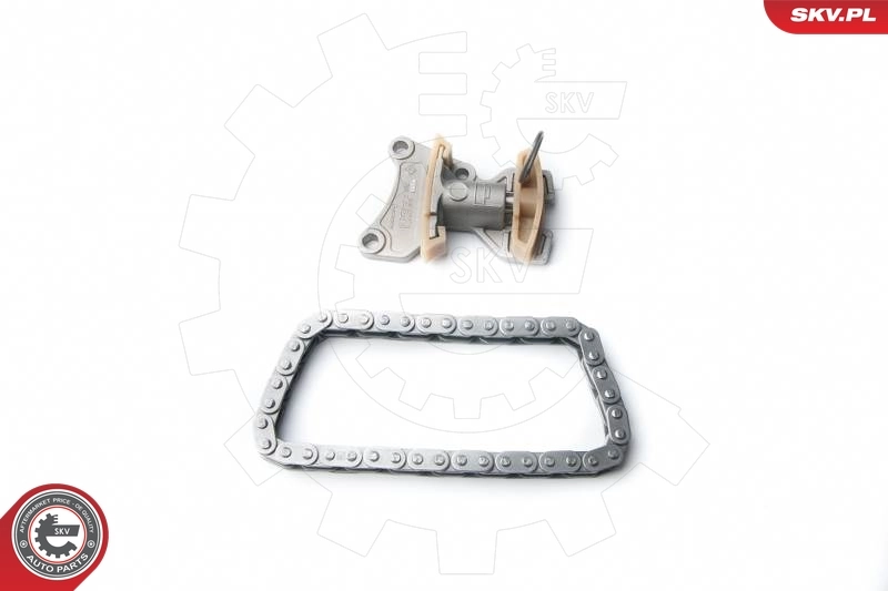 Timing Chain Kit